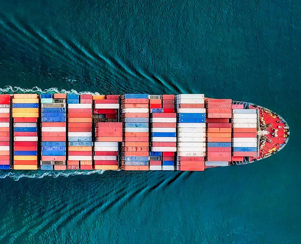 Transbosphor referans görseli